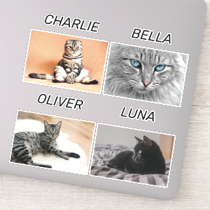 Sticker Photo de chat personnalisée et nom de chat animal