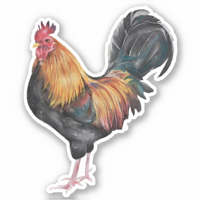 Sticker Photo de coq poulet (Devant)