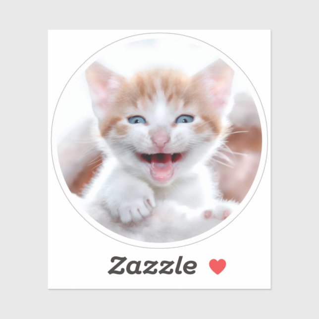 Sticker Photo de forme circulaire New Kitten (Feuille)