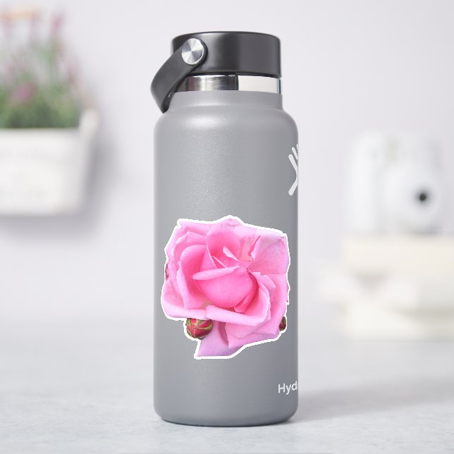 Sticker Photo de rose rose (HydroFlask)