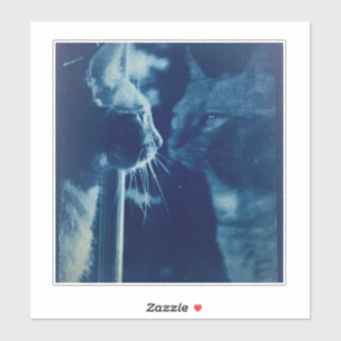 Sticker Photographie de chat en bécasse blanche