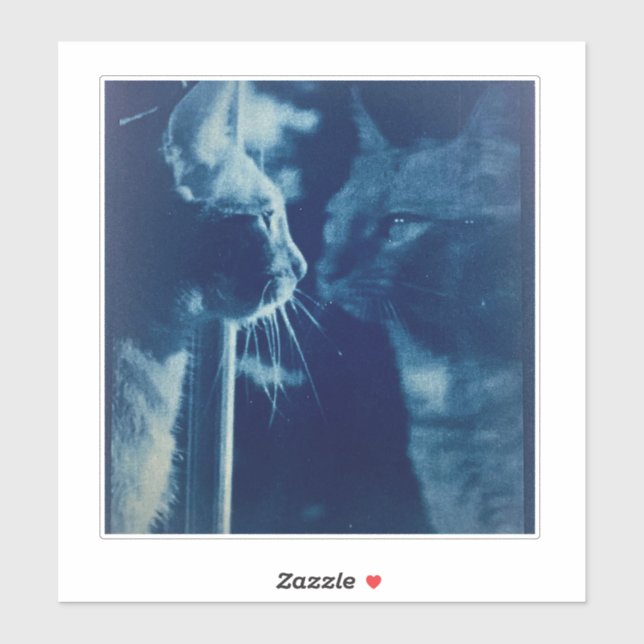 Sticker Photographie de chat en bécasse blanche (Feuille)