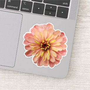 Sticker Photographie de fleurs de zinnia de la nature flor