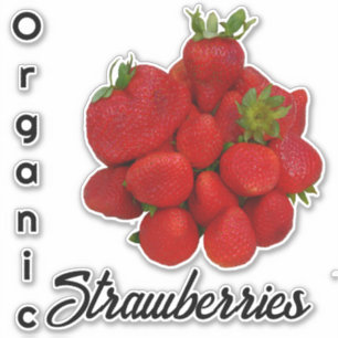 Sticker Photographie des fraises biologiques rouges