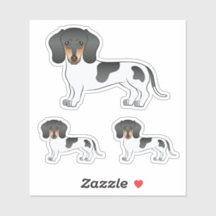 Sticker Piebald Noir Et Tan Cheveux Courtes Chien Dachshun