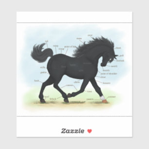 Sticker Pièces de beauté noire de l'anatomie du cheval