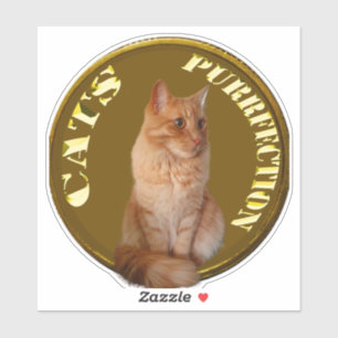 Sticker Pièces De Chat D'Or Avec Chat De Gingembre,