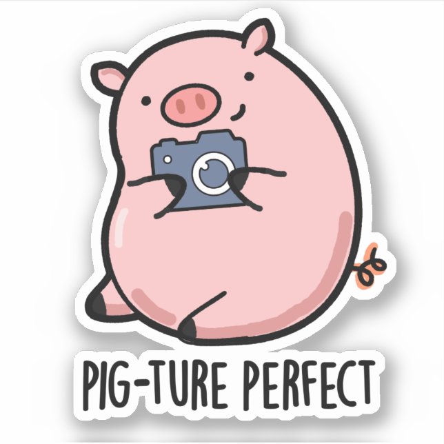 Sticker Pig-ture Perfect Funny Photography Pig Pun (Devant)