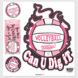 Sticker Pink Pouvez-Vous Le Creuser Volleyball