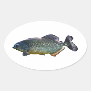 Sticker Piranha