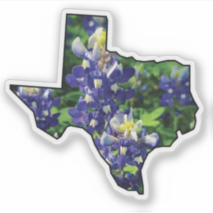 Sticker Plan d'état du Texas avec Bluebonnets