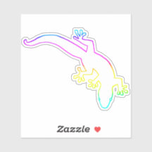 Plan multicolore GECKO