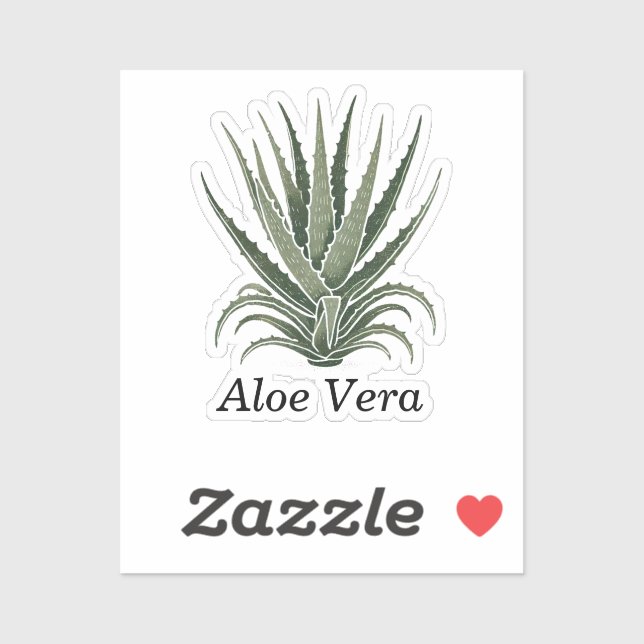 Sticker Plante d'Aloe Vera Herboristerie  (Feuille)