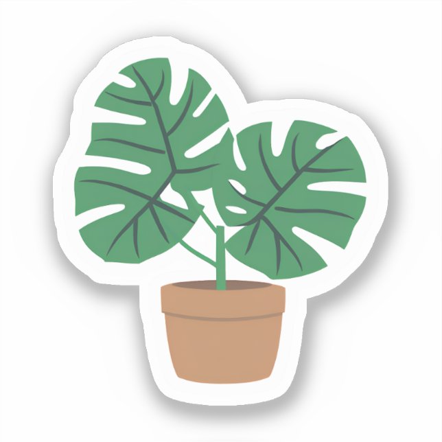 Sticker Plante Monstera | Jolie Plante Verte en Pot (Recto)