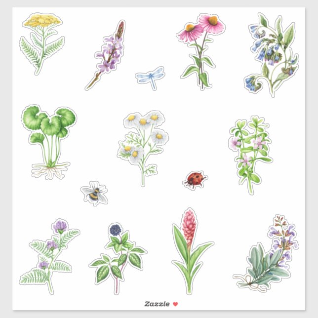 Sticker Plantes de plantes aromatiques (Feuille)
