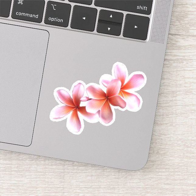 Sticker Plumeria rose Fleurs florales hawaïennes (Détail)