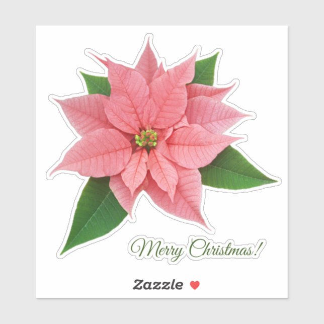 Sticker Poinsettia rose (Feuille)
