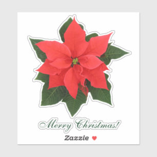 Sticker Poinsettia Rouge