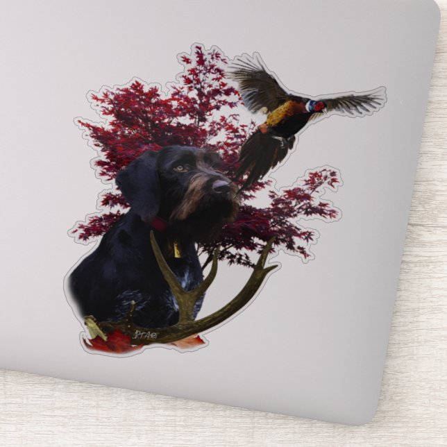 Sticker Pointeur À poils durs allemand (Détail)