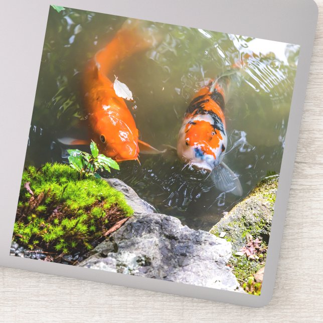 Sticker Poisson Koi dans un étang (Détail)