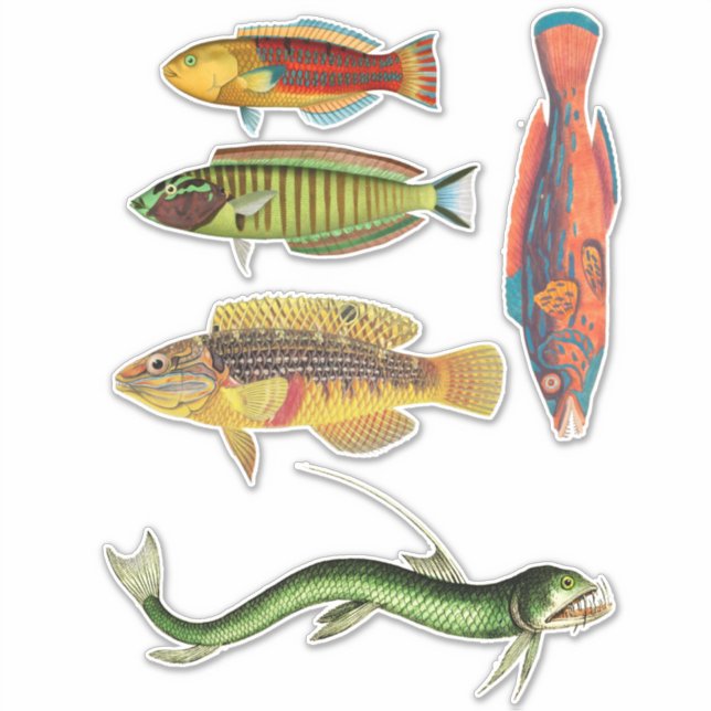 Sticker Poissons colorés Art Nature Océan Animaux (Devant)