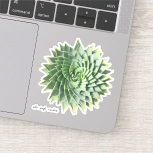Sticker Polyphylla Succulente d'Aloe Spirale