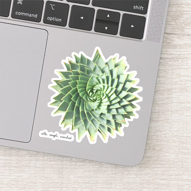 Sticker Polyphylla Succulente d'Aloe Spirale (Détail)