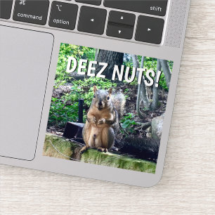 Sticker Portable drôle d'écureuil Deez Nuts pour adultes