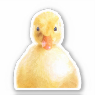 Sticker Portrait de Cute Duckling