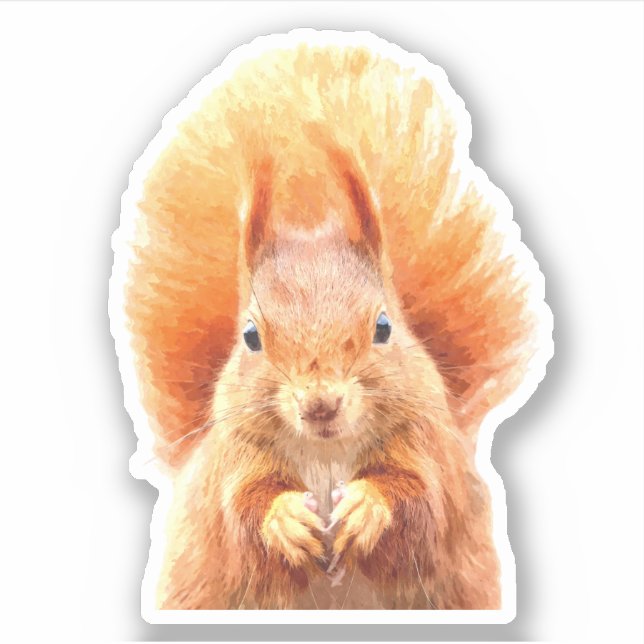 Sticker Portrait d'écureuil (Devant)