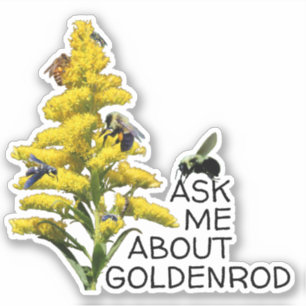 Sticker Posez-moi des questions sur Goldenrod et Pollinato
