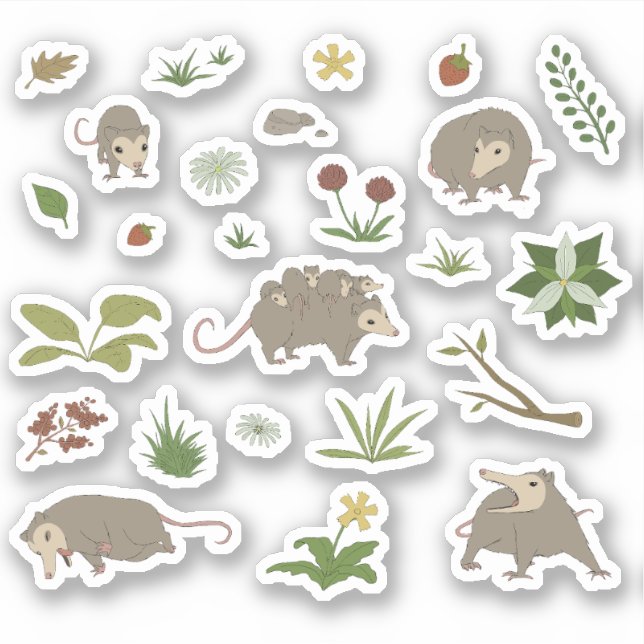 Sticker Possum dans un champ de Berry (Devant)