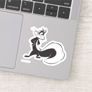 Sticker Pot de pénélope