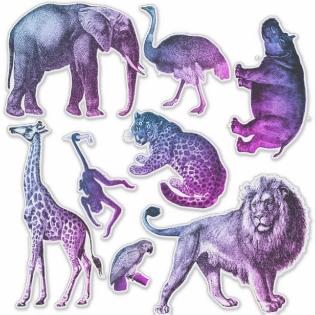 Sticker pour animaux zoo teintés (Devant)