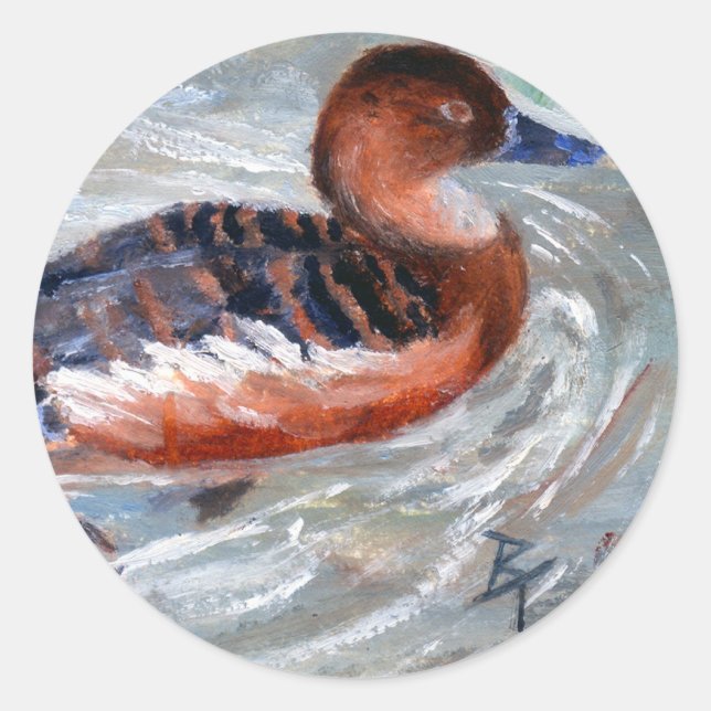 Sticker pour canard de natation (Devant)