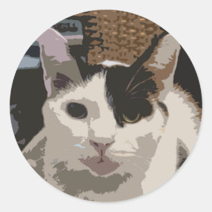Sticker pour chat