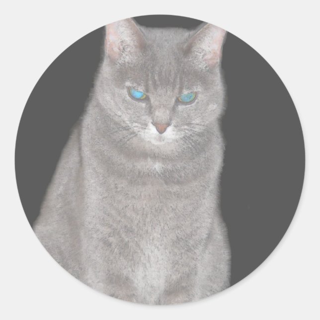 Sticker pour chat gris (Devant)
