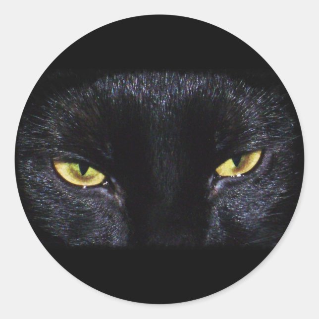 Sticker pour chat noir Halloween (Devant)