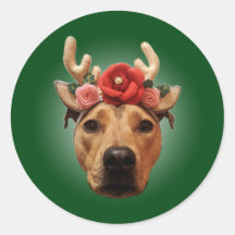 sticker pour chien de Noël