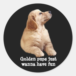 Sticker pour chiot réducteur d'or