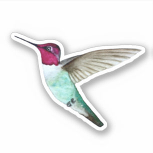 Sticker pour colibri d'Anna
