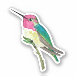 Sticker pour colibri d'Anna