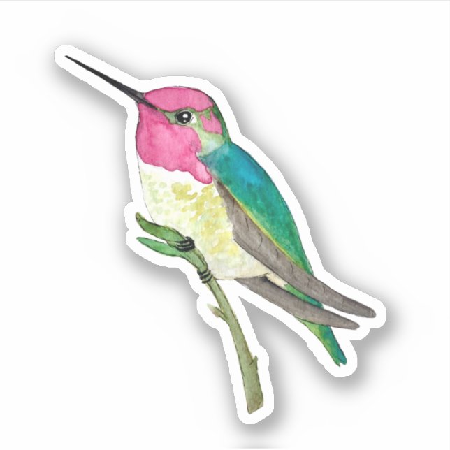 Sticker pour colibri d'Anna (Devant)