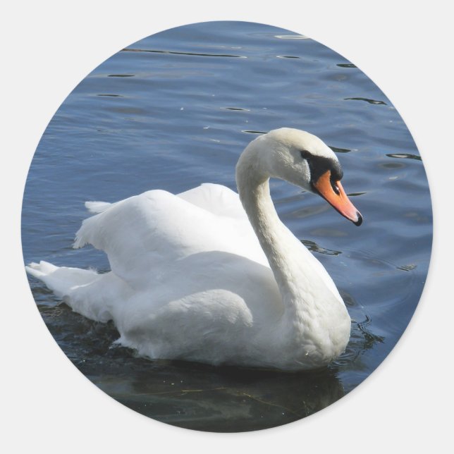 Sticker pour cygne muet (Devant)