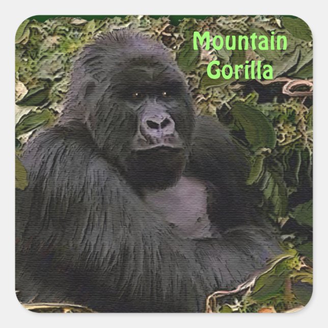 Sticker pour la faune africaine de Mountain Gorill (Devant)
