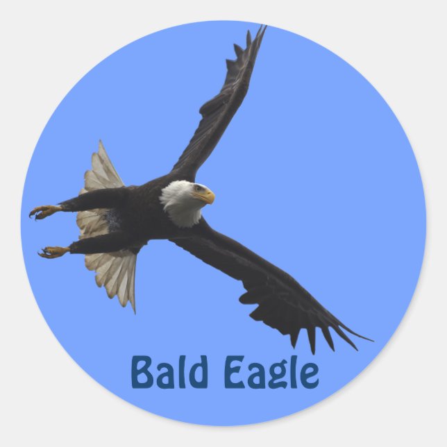 Sticker pour la faune de Bald Eagle Raptor Birdlov (Devant)