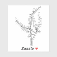 Sticker pour la feuille de gomme