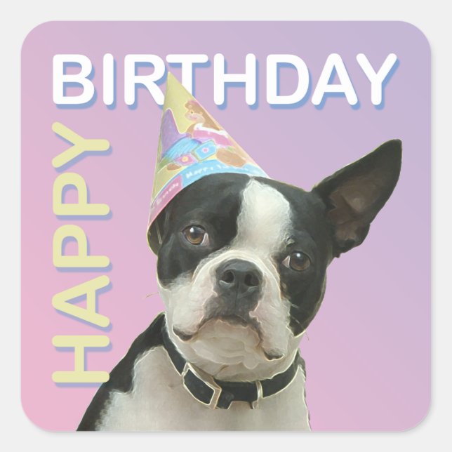 Sticker pour l'anniversaire de Boston Terrier (Devant)