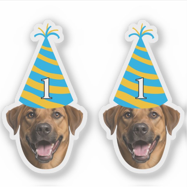 Sticker pour l'anniversaire de chien drôle - Visag (Devant)