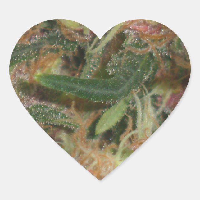 Sticker pour le coeur de mauvaises herbes (Devant)